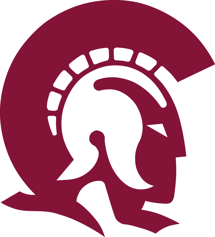 Arkansas-Little Rock Trojans 1997-Pres Primary Logo diy iron on heat transfer